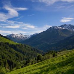 Ried im Zillertal 51 hotel