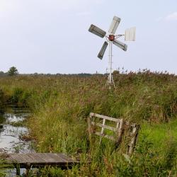 Uden 12 ferieboliger