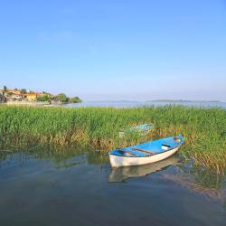 Gölyazı 1 hotel