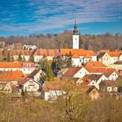 Varaždinske Toplice 24 smeštaja za odmor