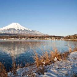 山中湖 19 間家庭旅館