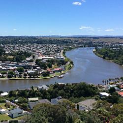 Whanganui 12 hotel mesra haiwan peliharaan