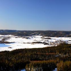 Borlänge 4 lodges