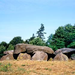 Diveris Atostogų būstai (23)