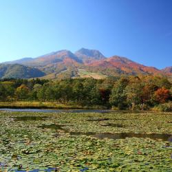 Myoko