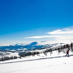 Oppdal 10 hytter