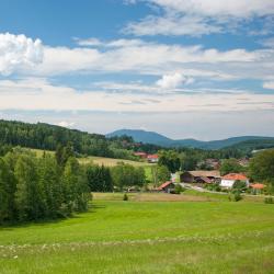 Bayerisch Eisenstein 54 hoteluri