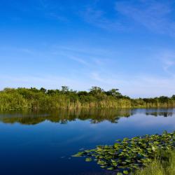 Spier Atostogų būstai (5)