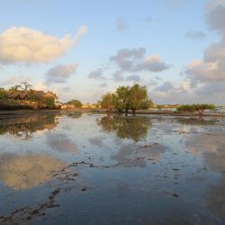 Wasini 3 hoteles de playa