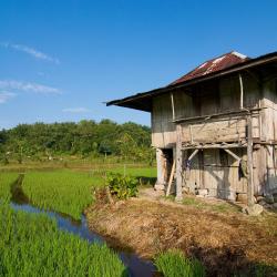 Bandar Lampung 4 vandrehjem