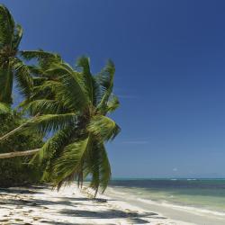 Grand'Anse Praslin 39 hótel