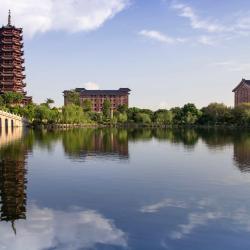 Shunde 9 5-stjärniga hotell