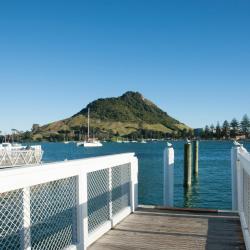 Mount Maunganui 8 motel