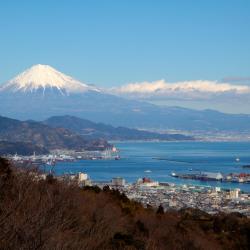 沼津 12 間家庭旅館