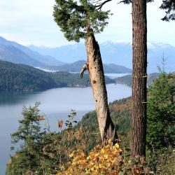 Harrison Hot Springs 11 hotels