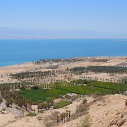 Ein Gedi 4 apartments