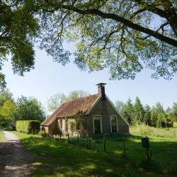 Zedlarenas Atostogų būstai (5)