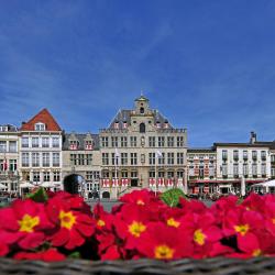 Bergen op Zoom 8 ferieboliger