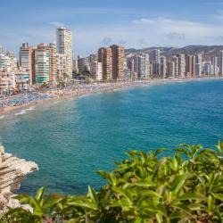 Benidorm 1737 vacation rentals