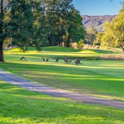 Kangaroo Valley 21 kæledyrsvenlige hoteller