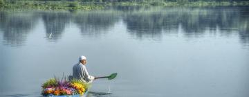 Готелі в районі Dal Lake