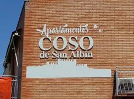 Apartamentos Coso de San Albin