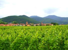 Chambre d'Hotes Le Vogelgarten, hotel v mestu Sigolsheim