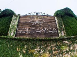 Liquidambar Hotel – hotel w mieście Sarabanda