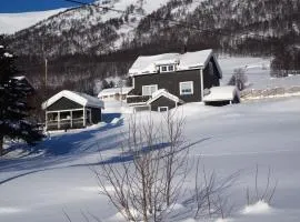 Apartment between Ustaoset and Geilo