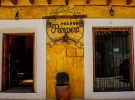 Hotel Posada Primavera