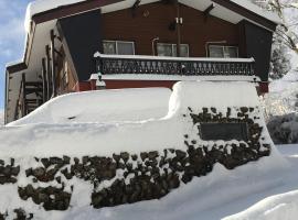 Myoko Ski Lodge in Akakura Village, apartmanház Mjokóban