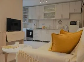 Spacious 2-bedroom apartment with luxury feel