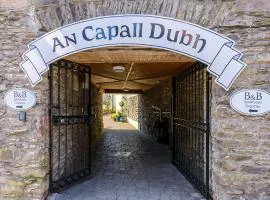 An Capall Dubh B&B Dingle