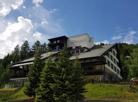 Kinder- und Familienhotel Nockalm, hotell Innerkremsis