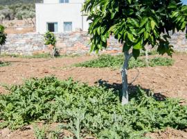 Ligaridia Apartments โรงแรมในMoutsouna Naxos