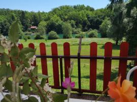 Family & Friends apartments - Mrežnica, hotel u Dugoj Resi