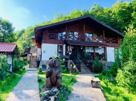 Chalet Vedmezhe、ポリアナのホテル