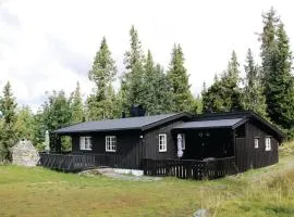 Stunning Home In Sjusjøen With Kitchen