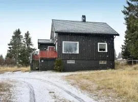 3 Bedroom Stunning Home In Sjusjøen