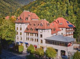 Hotel Rina Cerbul, hotel v destinaci Sinaia