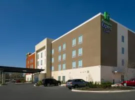 Holiday Inn Express & Suites New Braunfels, an IHG Hotel