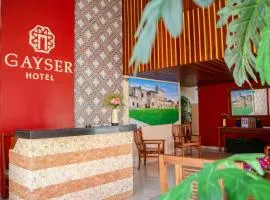 Hotel Gayser