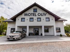 Motel OLIV, motel in Oświęcim