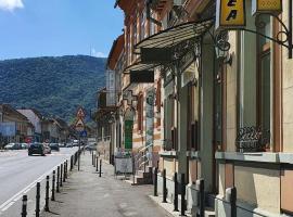 Pension Flamingo, Pension in Braşov