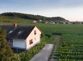 Winzerhof Henkenberg, hotel v mestu Niederrotweil