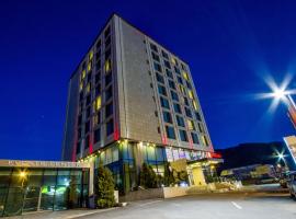 Hotel HP Tower One Brasov, hišnim ljubljenčkom prijazen hotel v mestu Braşov