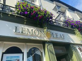 The Lemon Leaf Café Bar and Townhouse, nakvynės su pusryčiais namai mieste Kinselis