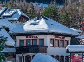 Viesnīca Garni Hotel Miklič pilsētā Kraņska Gora