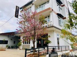 Spring Hotel, hotel en Dalat