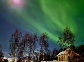 Cabin magic on Senja, atmosphere like a fairytale、Botnhamnのコテージ